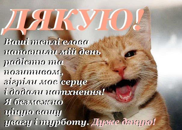 Кіт з українським текстом подяки на фоні.