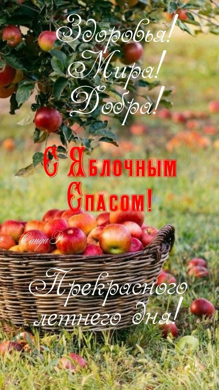 Корзина з яблуками під деревом на фоні поля