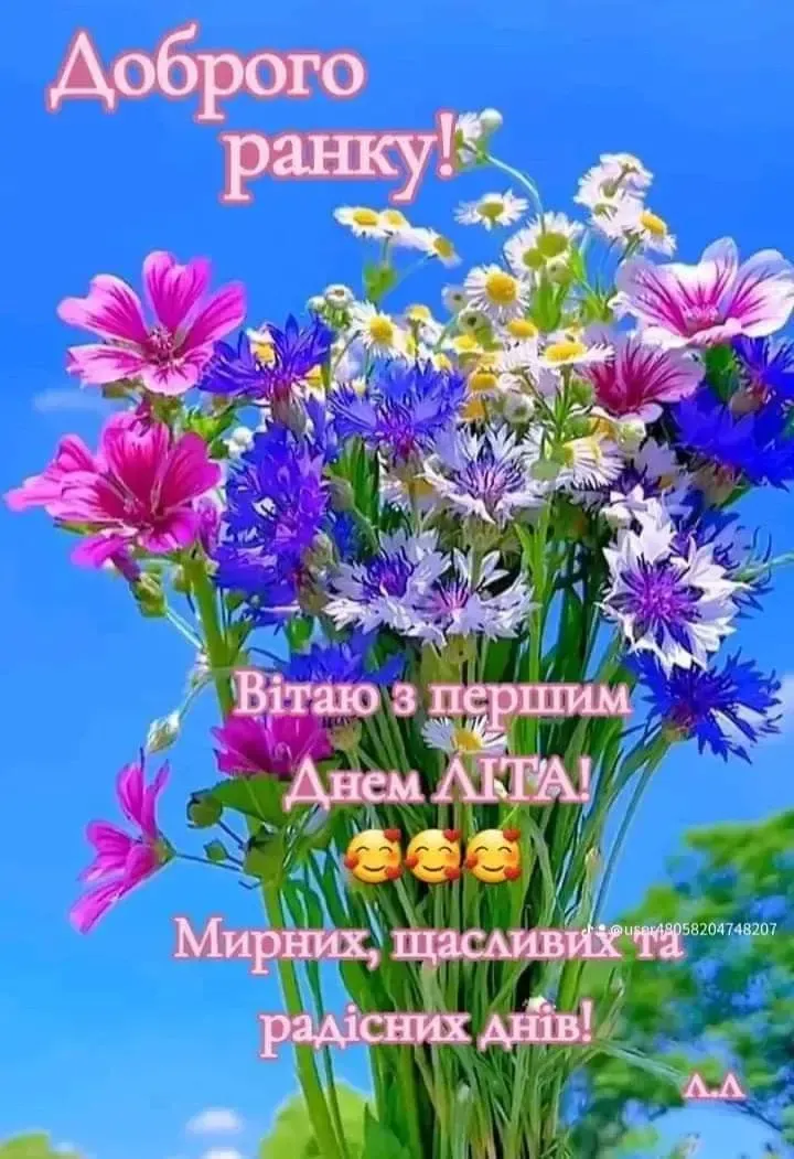 Квіти та привітання з першим днем літа мирного неба