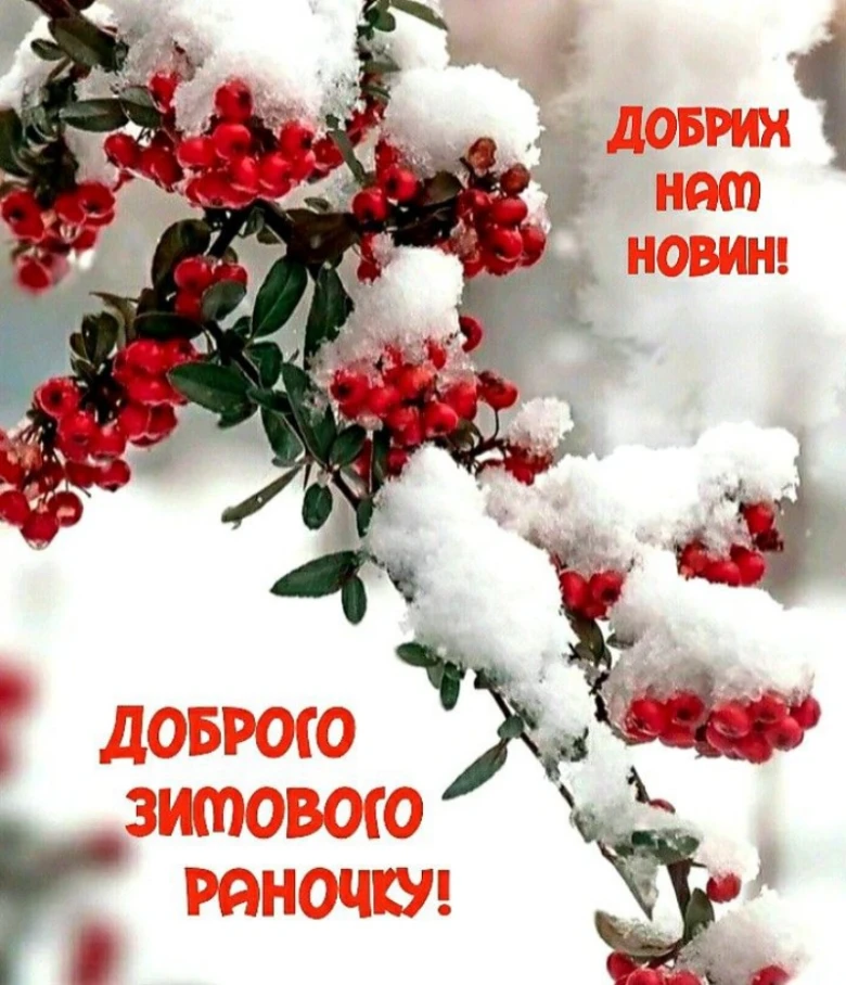 Сніжне гілля з ягодами та привітанням доброго ранку.