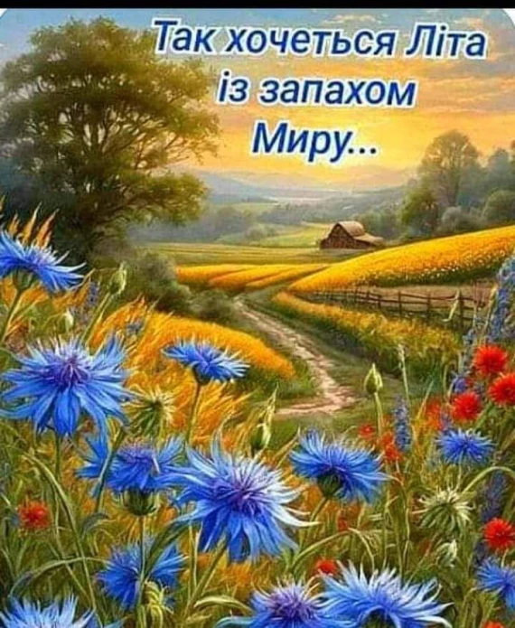 Квіти та полонина під мирним небом першого дня літа