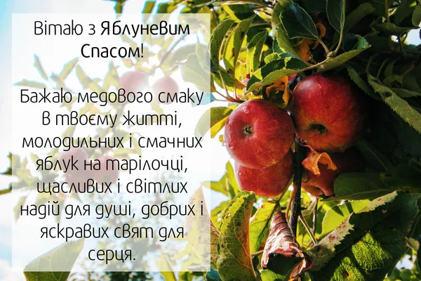 Червоні яблука на гілці з привітанням зі Спасом.