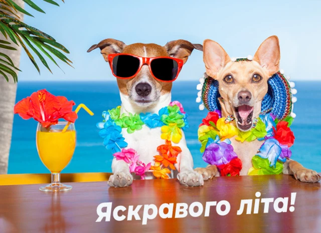 Дві щасливі собаки святкують перший день літа біля моря.