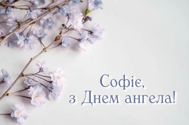 Гілки квітів та привітання Софії з днем ангела