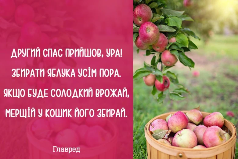 Яблука на дереві та в кошику, привітання зі Спасом.