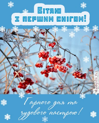 Привітання з першим снігом та гарного настрою!