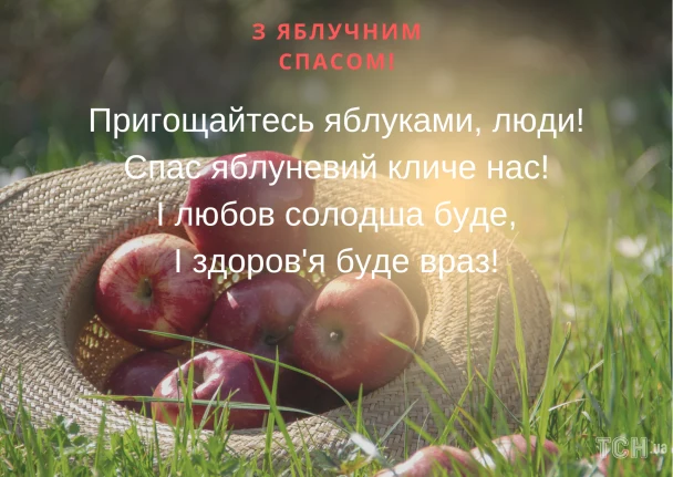 Корзина з яблуками на траві під сонцем